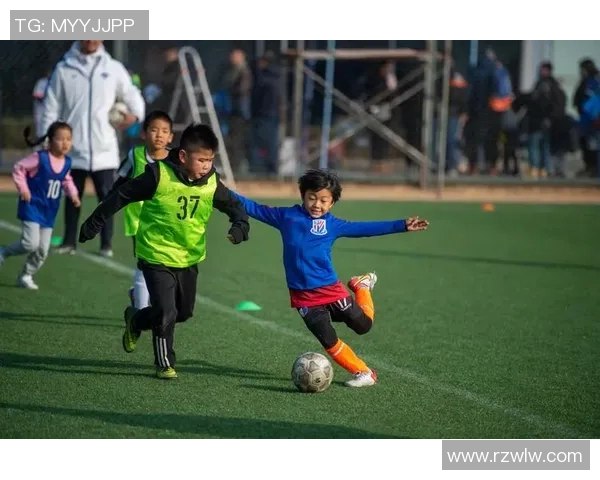 杭州篮球队技术对比深度解析：战术风格与球员能力的全面评估