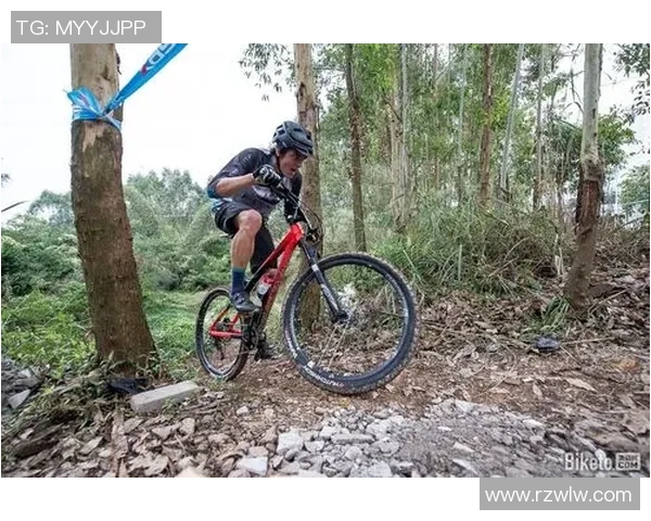 武汉极限运动队战术转型解析与新打法探索